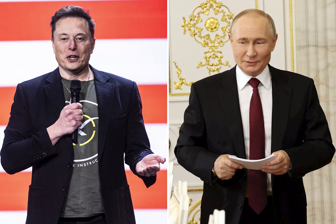 Musk and Putin have regularly talked since late 2022: report