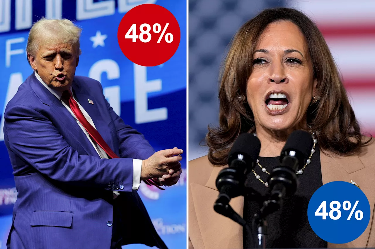 Trump and Harris deadlocked in final national Siena College poll -- less than two weeks before election