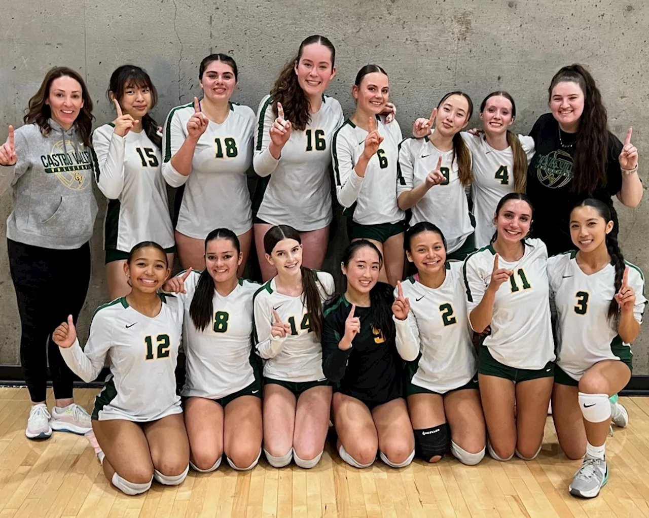 Prep roundup: Castro Valley girls volleyball wins second consecutive league title