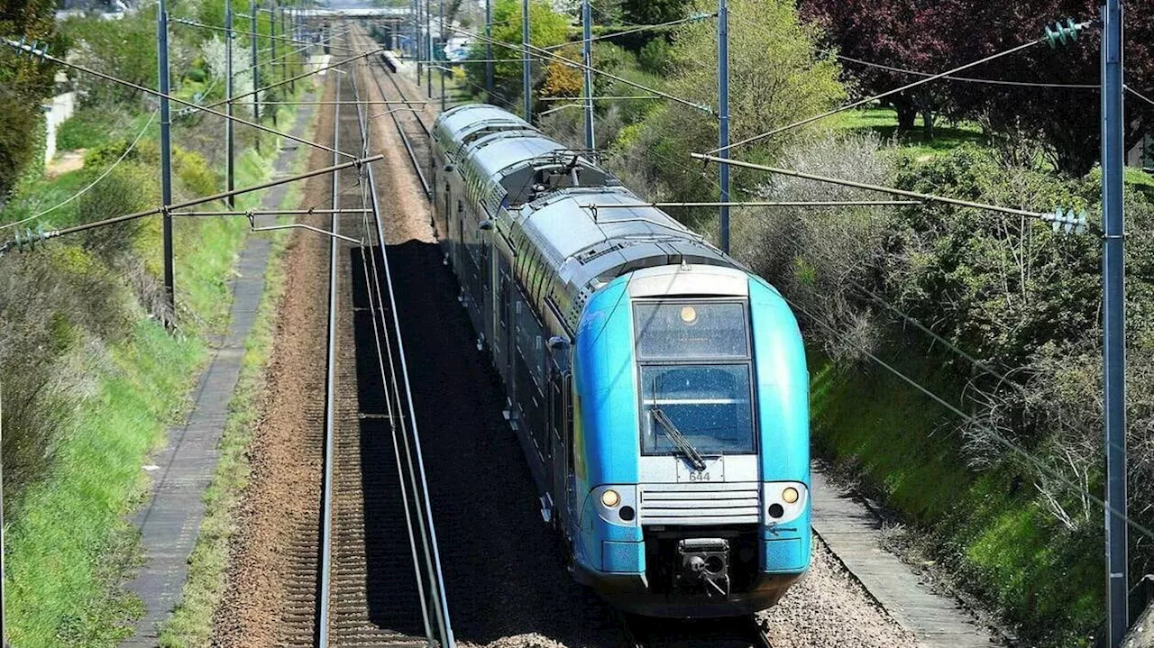 Un homme meurt percuté par un train à Saint-Etienne-de-Monluc