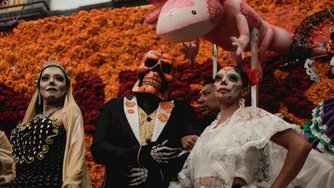 Rutas y alternativas viales por Paseo Nocturno de Día de Muertos y la Mega Procesión de Catrinas