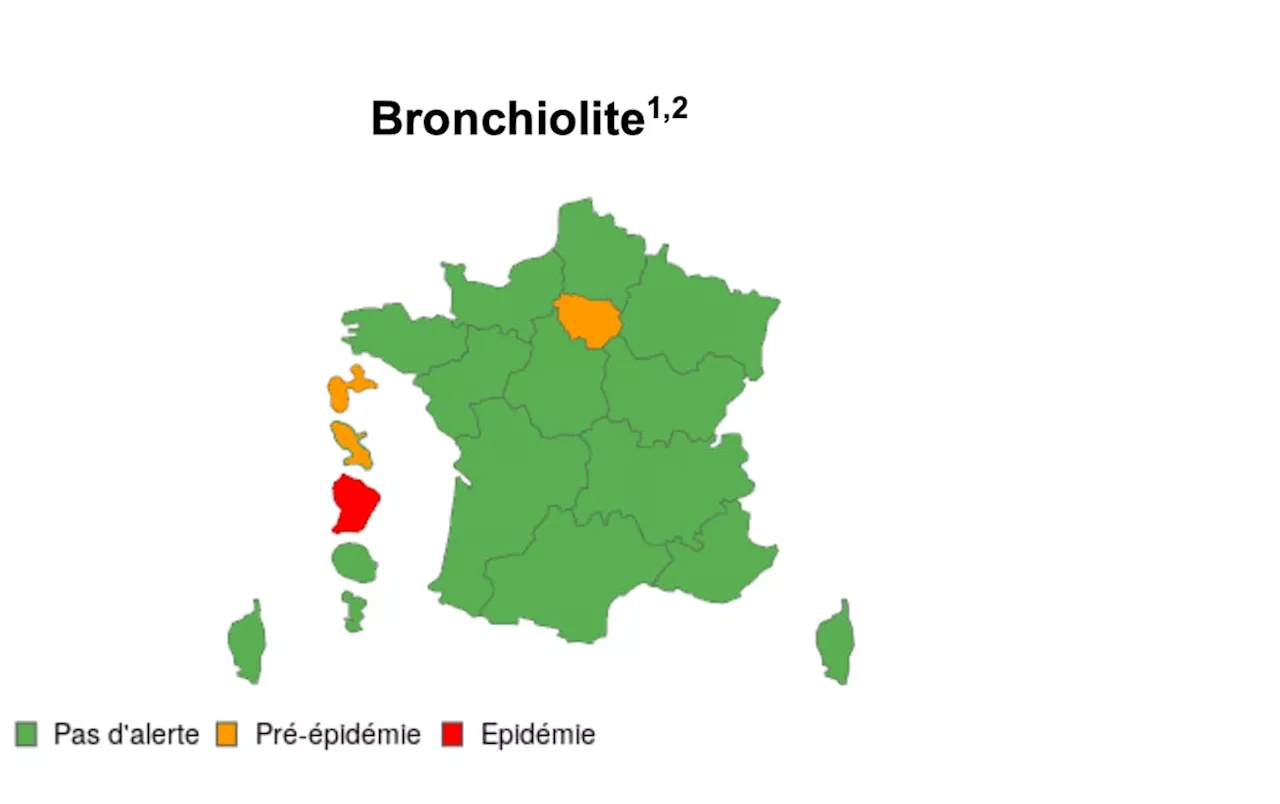 Bronchiolite : vigilance orange en Ile-de-France, Guadeloupe et Martinique