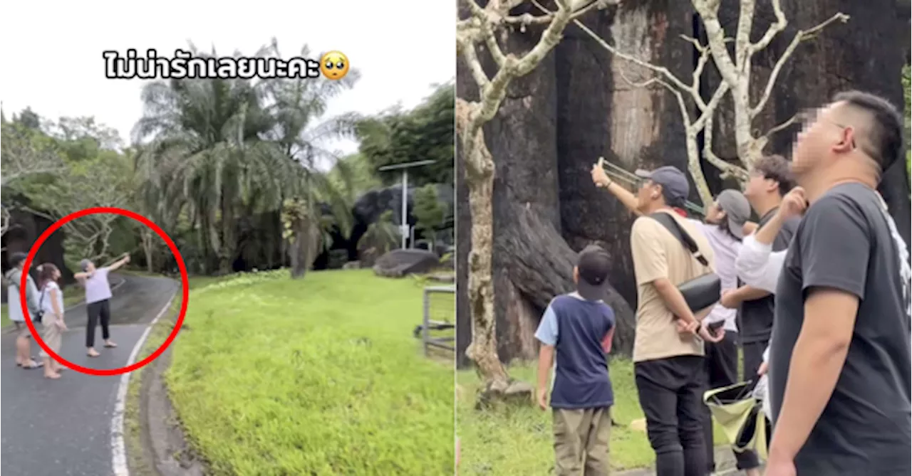 'Truly Appalling Behaviour' — Tourists Using Slingshot At Thai Zoo Reported To Police