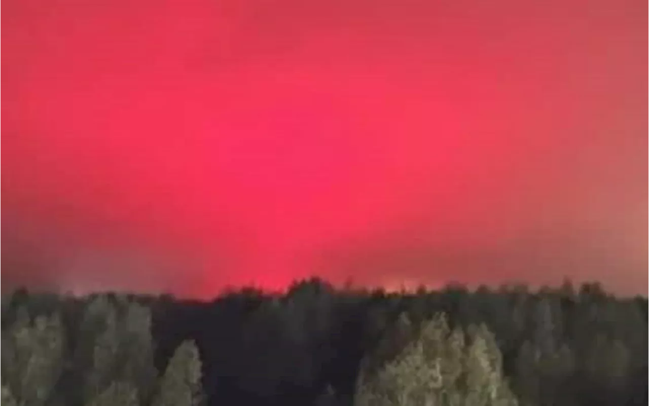 Regno Unito, luci di una fabbrica di pomodori scambiate per aurora