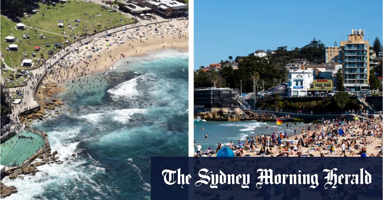 From Palm Beach to Cronulla: The health of Sydney’s beaches revealed