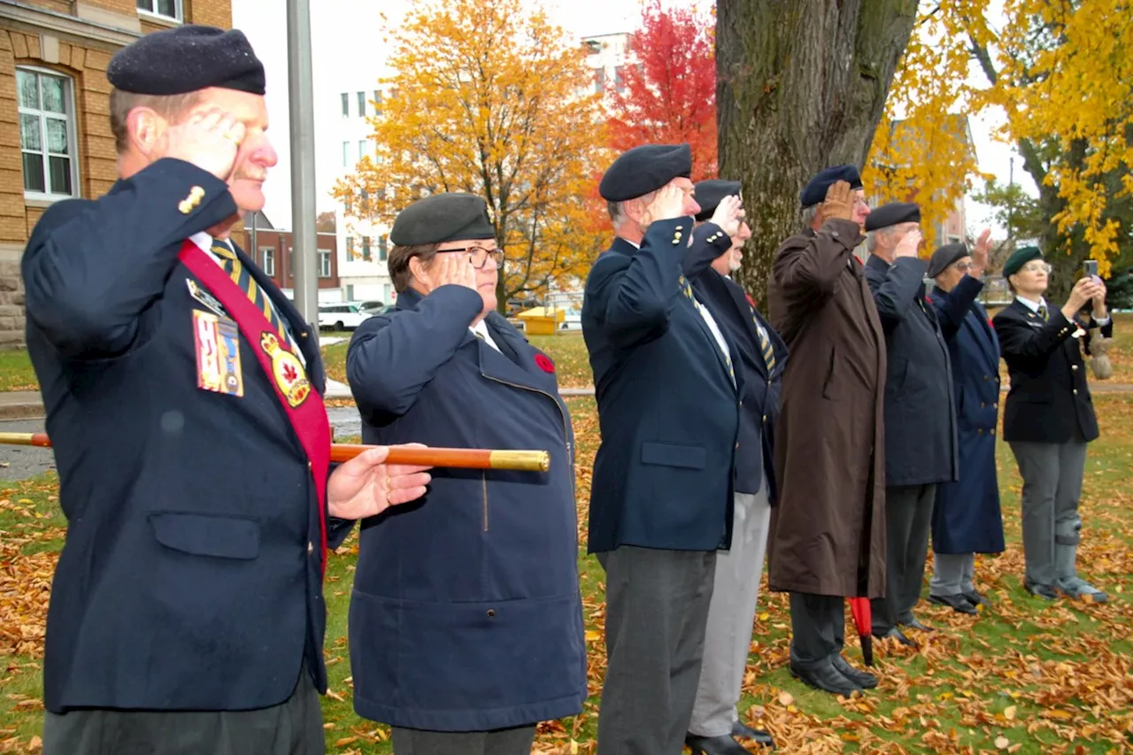 Royal Canadian Legion resisting the use of tap to sell poppies