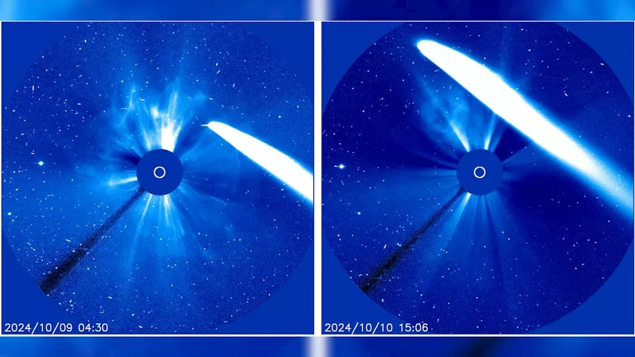 See Comet TsuchinshanATLAS eject a tail of gas and dust as it flies