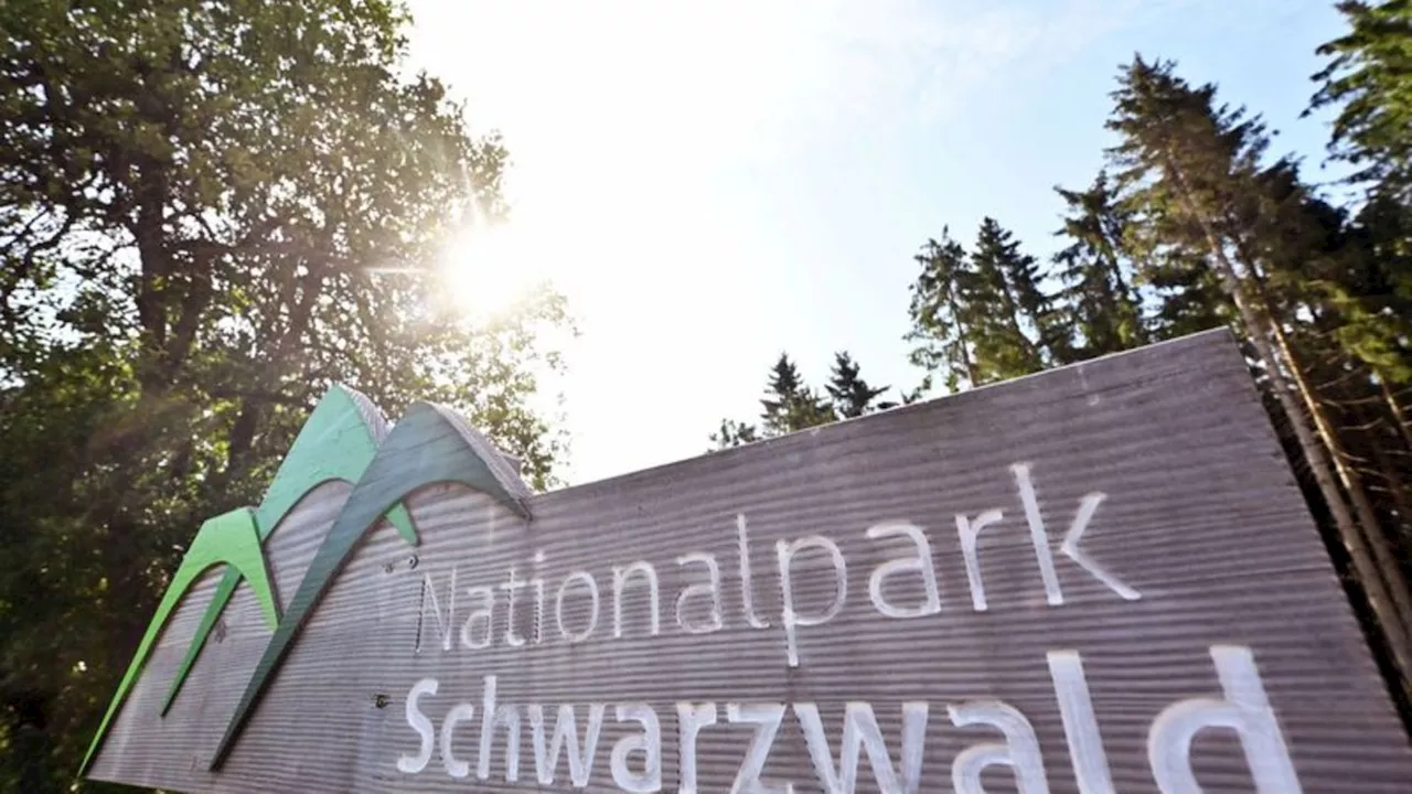 Nationalpark: Landräte kritisieren Vorgehen beim erweiterten Nationalpark