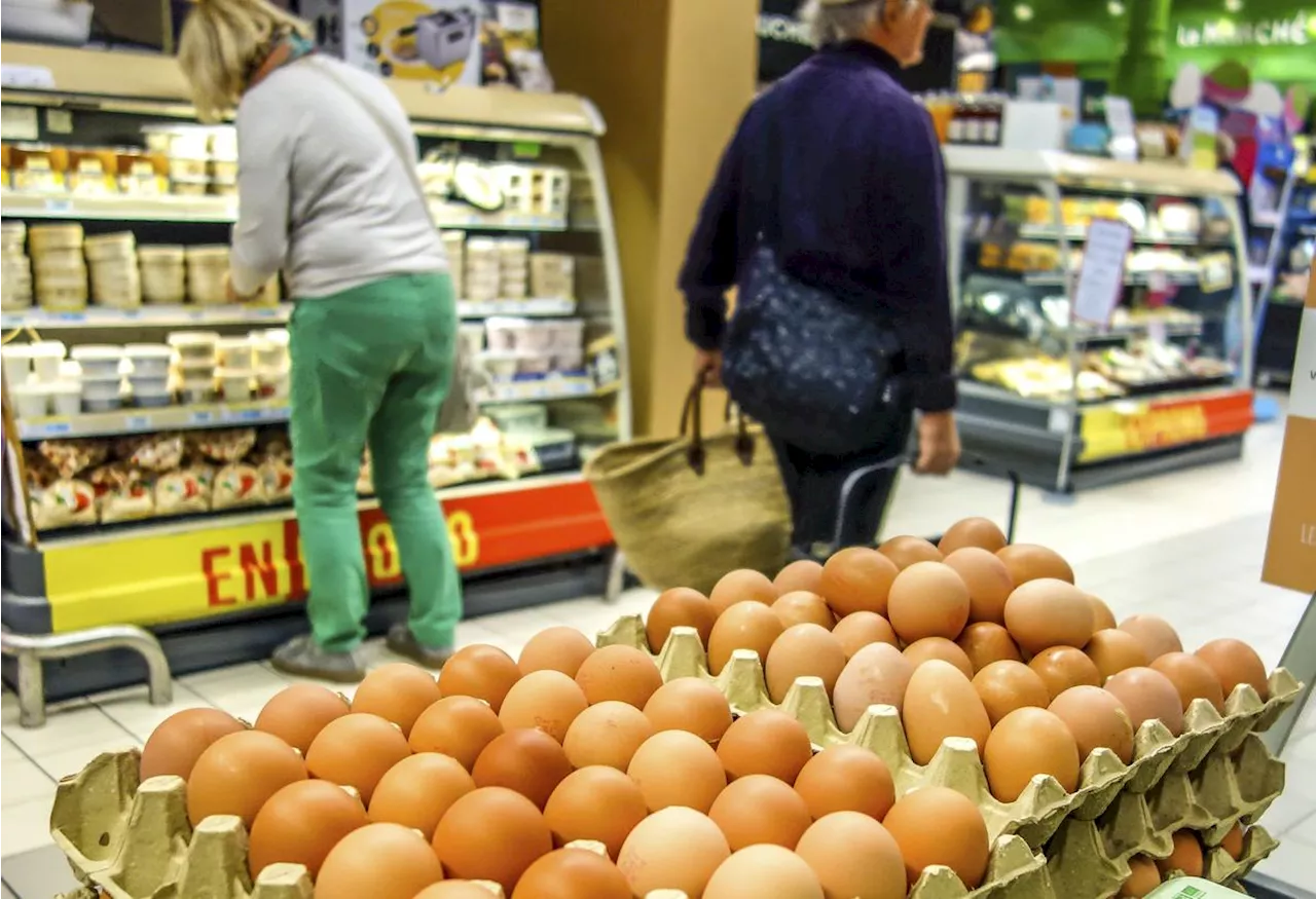 Contamination aux salmonelles : des œufs rappelés massivement dans la France entière