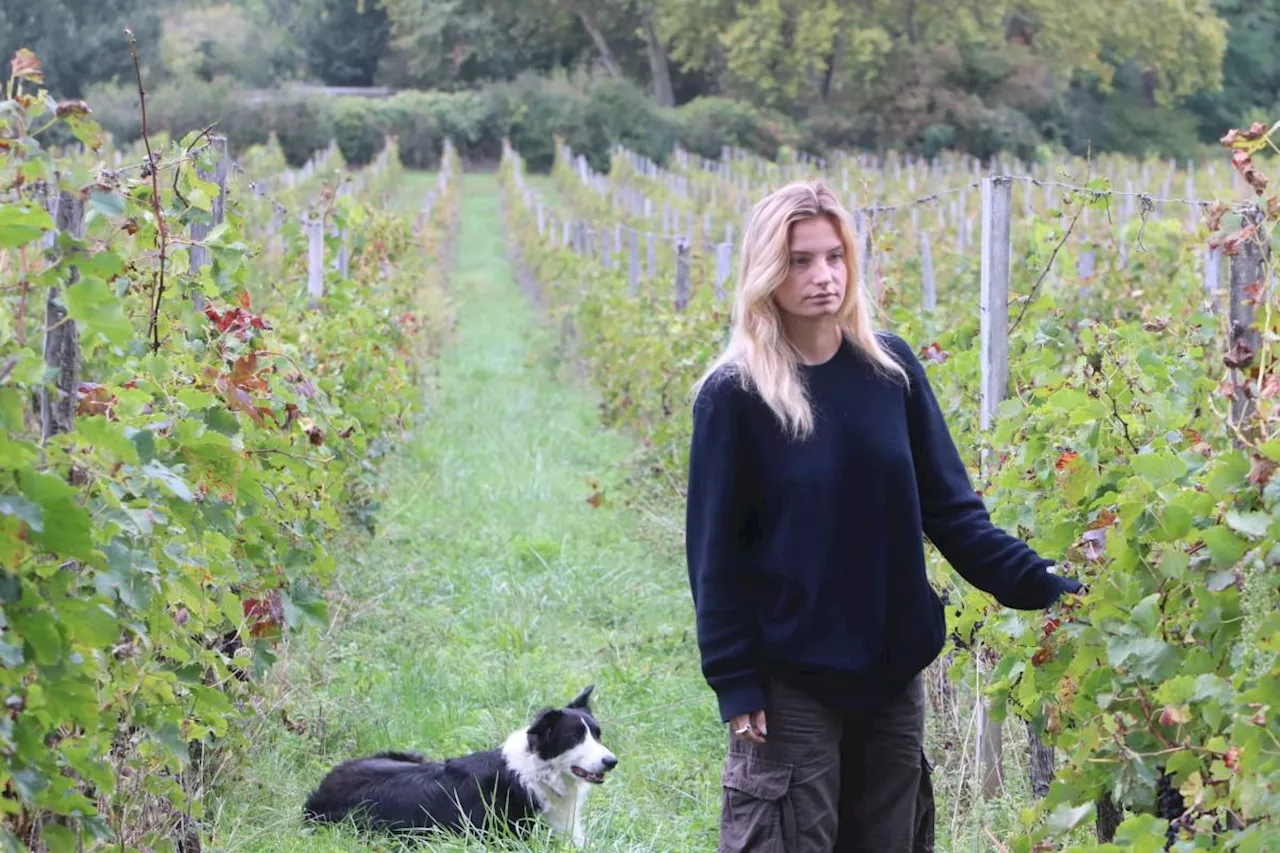 Gironde : bras-de-fer urbanistico-juridique entre le Château Lestange et la mairie de Quinsac