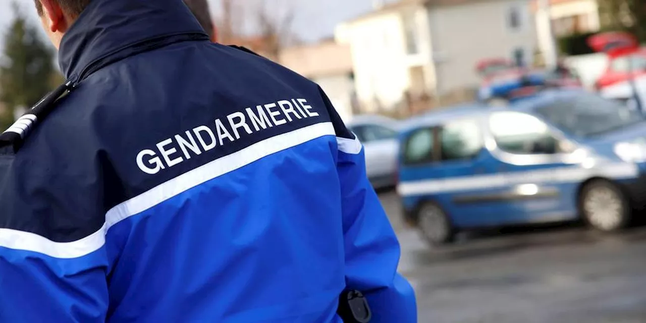 Un adolescent de 14 ans tué dans les Pyrénées-Orientales, la mère et son compagnon interpellés