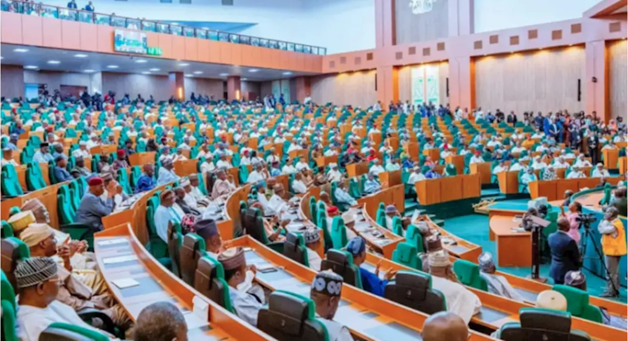 Reps reject bill seeking to expand Islamic law in 1999 constitution