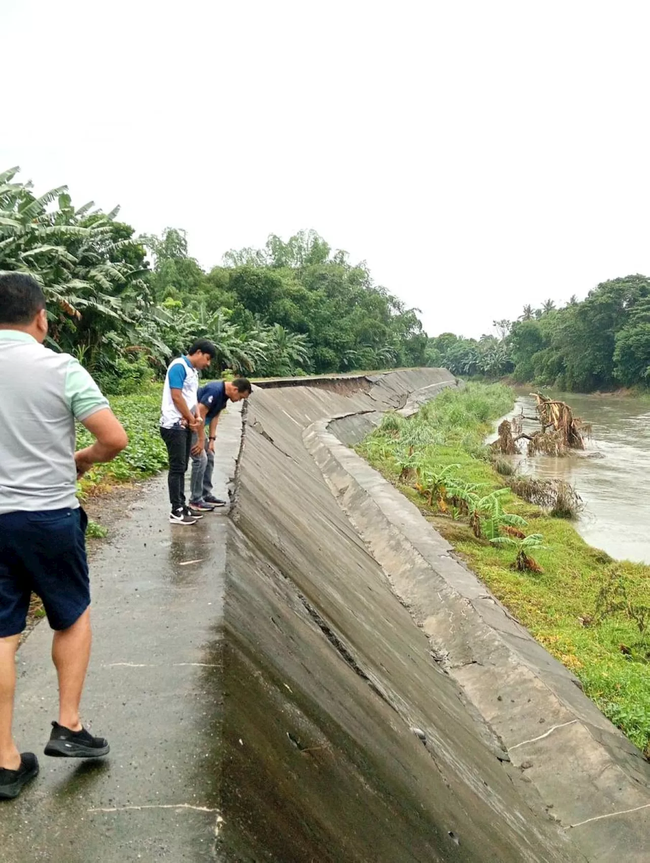 Repair of damaged dike in Mindoro proposed