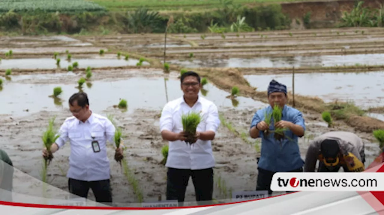 Wamentan Sudaryono: Cetak Sawah Baru Jadi Solusi Krusial untuk Perluas Area Produksi Beras