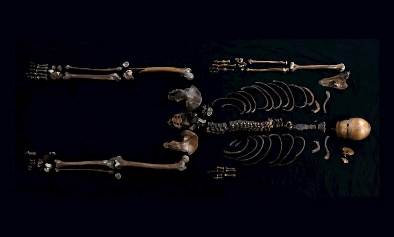 ’Brøndmanden’ fra 800 år gammel saga identificeret med ny genteknologi