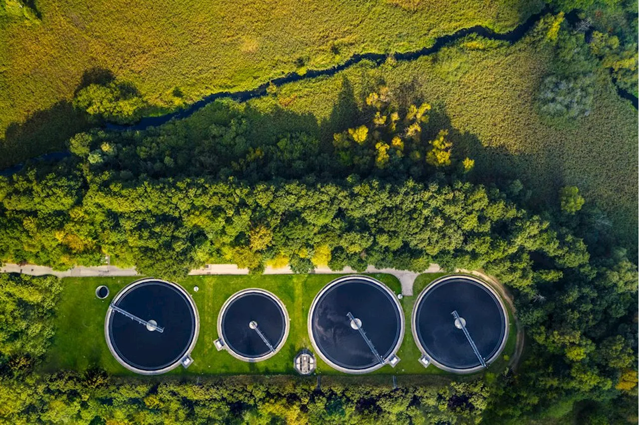 »Perspektivet er enormt«: Danske forskere udvinder bæredygtige materialer fra spildevand