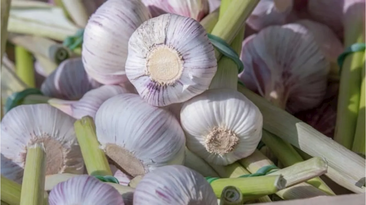 Daftar Harga Pangan 25 Oktober 2024: Bawang Putih hingga Telur Ayam Naik