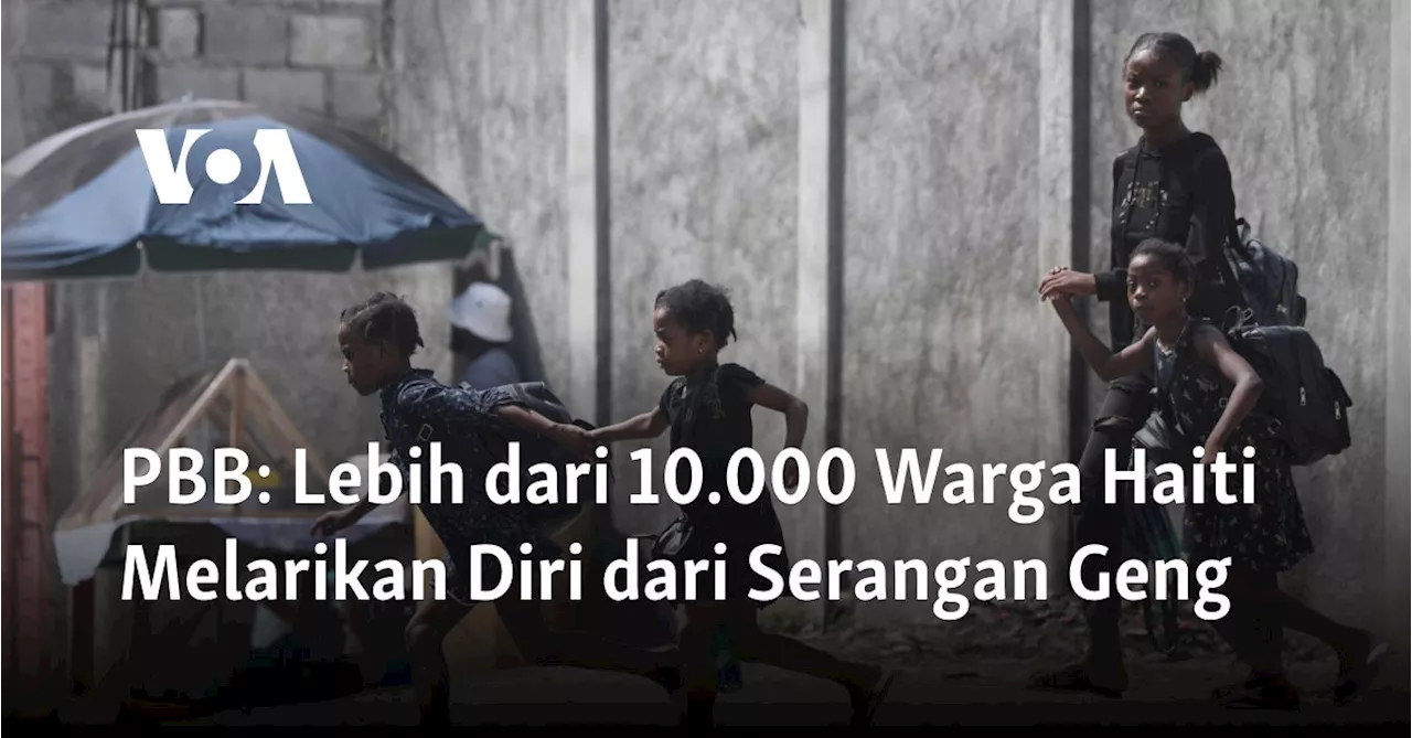 PBB: Lebih dari 10.000 Warga Haiti Melarikan Diri dari Serangan Geng