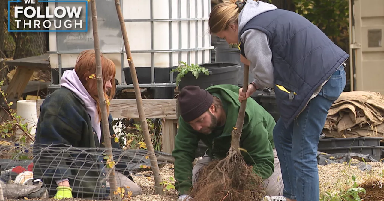 'It's good stuff, it's good soil': Cleveland church teams up with nonprofit to help improve city's tree canopy