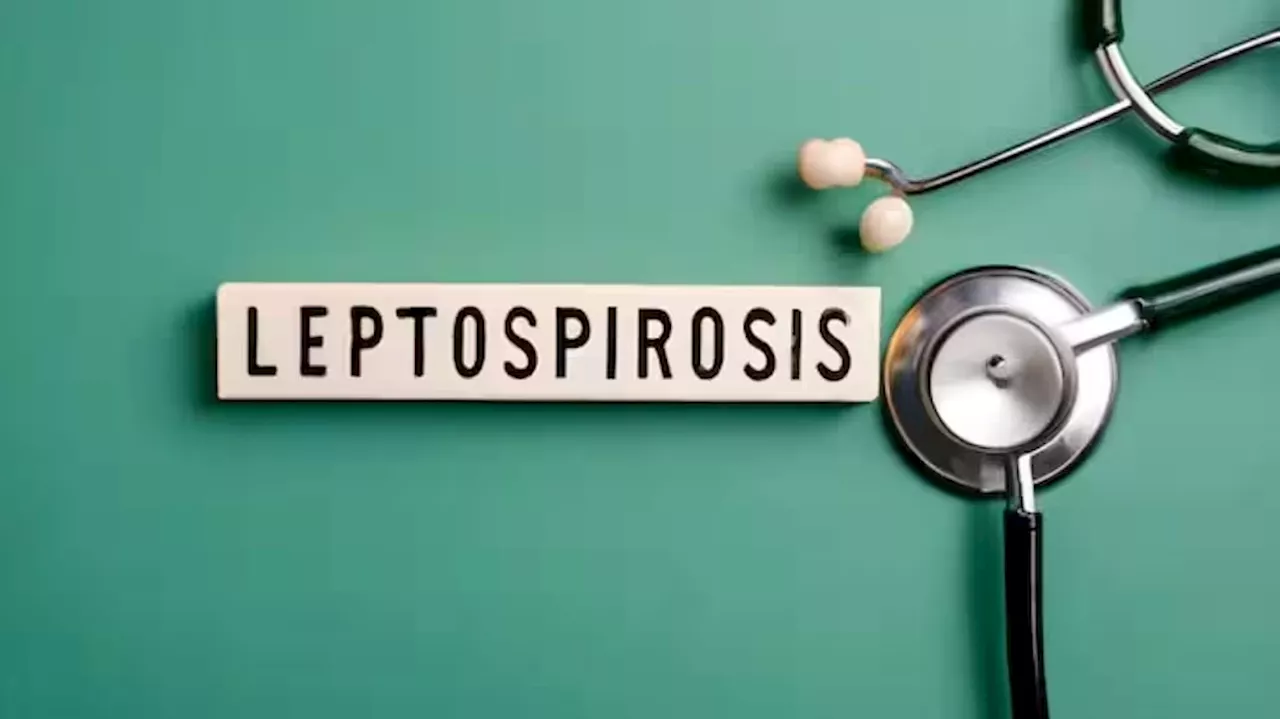 Leptospirosis Death: തിരുവനന്തപുരത്ത് എലിപ്പനി ബാധിച്ച് ഒരു മരണം; വർക്കല സ്വദേശി മരിച്ചത് ചികിത്സയിലിരിക്കെ