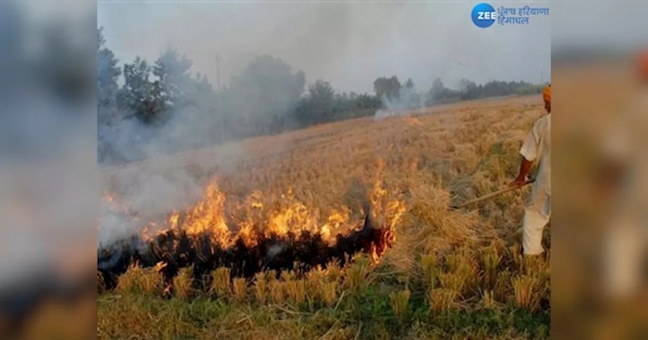 Punjab Stubble Burning Case: ਪੰਜਾਬ ਚ ਹਰਿਆਣਾ ਦੇ ਮੁਕਾਬਲੇ ਪਰਾਲੀ ਸਾੜਨ ਦੇ ਮਾਮਲਿਆਂ ਚ ਵੱਡੀ ਗਿਰਾਵਟ ਦਰਜ