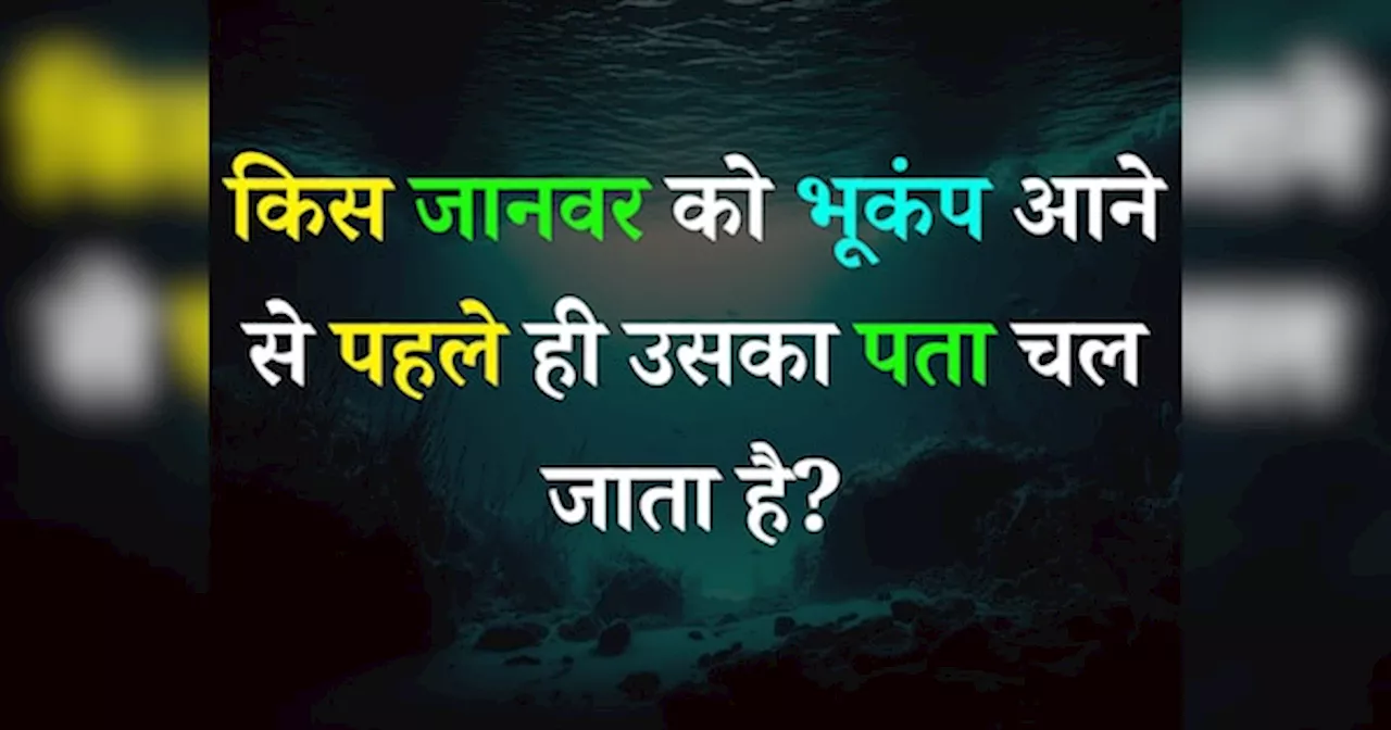 Quiz: किस जानवर को भूकंप आने से पहले ही उसका पता चल जाता है?