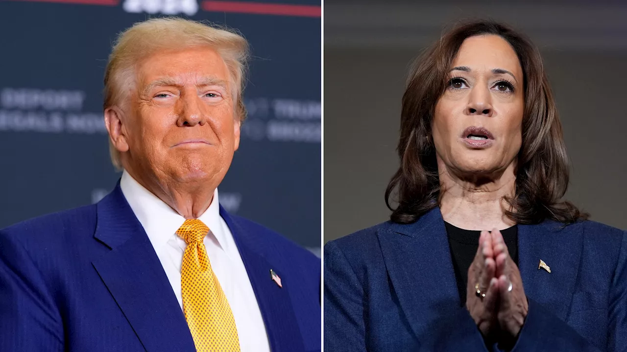 2024 election live updates: Trump and Harris campaign in Texas as election day nears