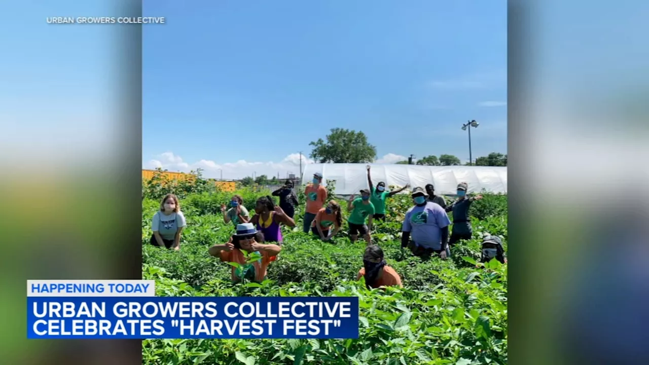 Urban Growers Collective celebrate Harvest Fest with fall festivities