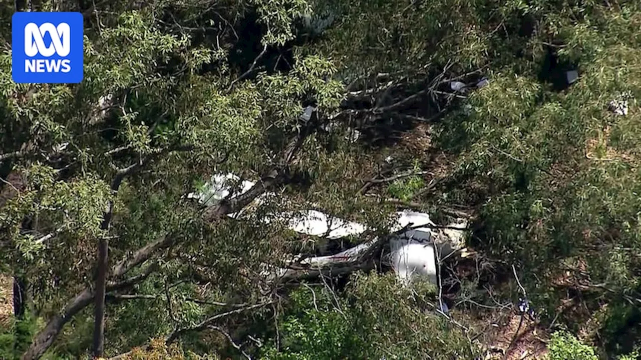 Three dead after two light planes collide over Belimbla Park in Sydney's south-west