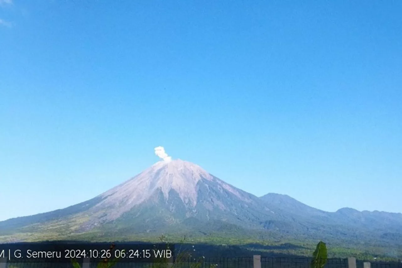 Gunung Semeru beberapa kali erupsi dengan letusan hingga 600 meter