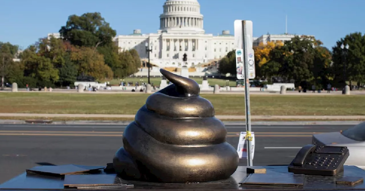 Satirical poop-emoji statue near US Capitol evokes stain of Jan 6 riot