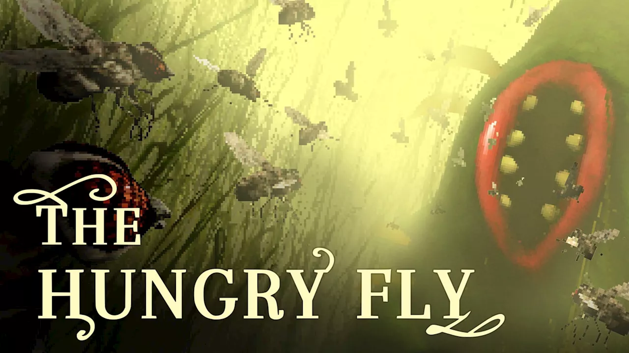 New Indie Horror Adventure The Hungry Fly Is Out on PC