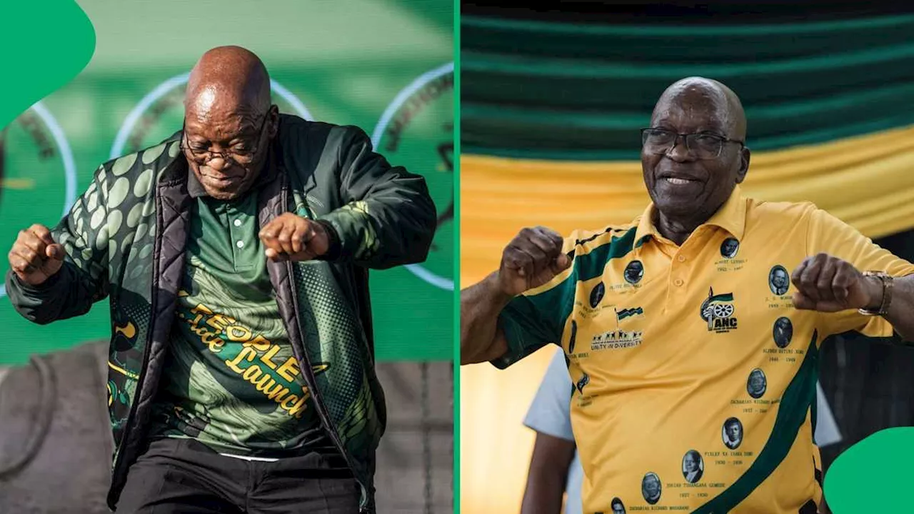 Jacob Zuma Appeals Expulsion From African National Congress, South Africans Troll Former President