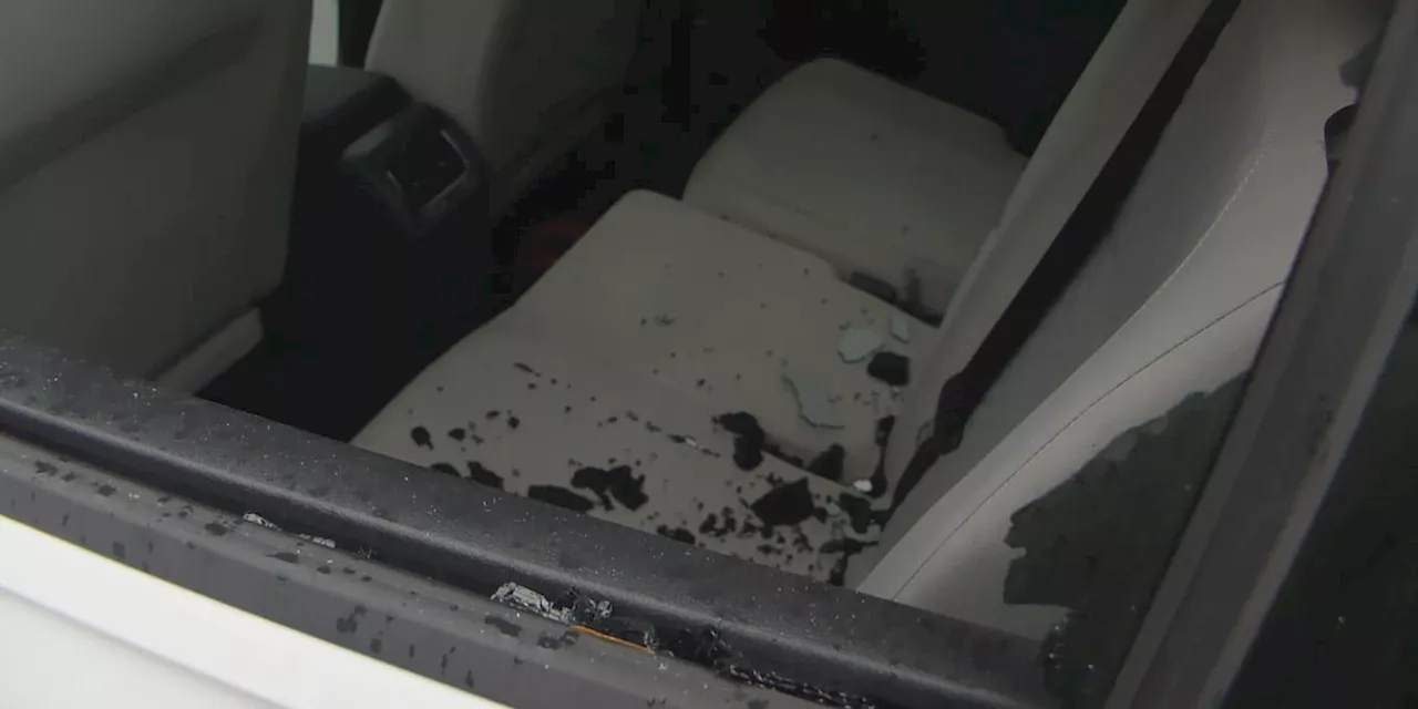 Cleveland police investigate 12+ overnight car break-ins