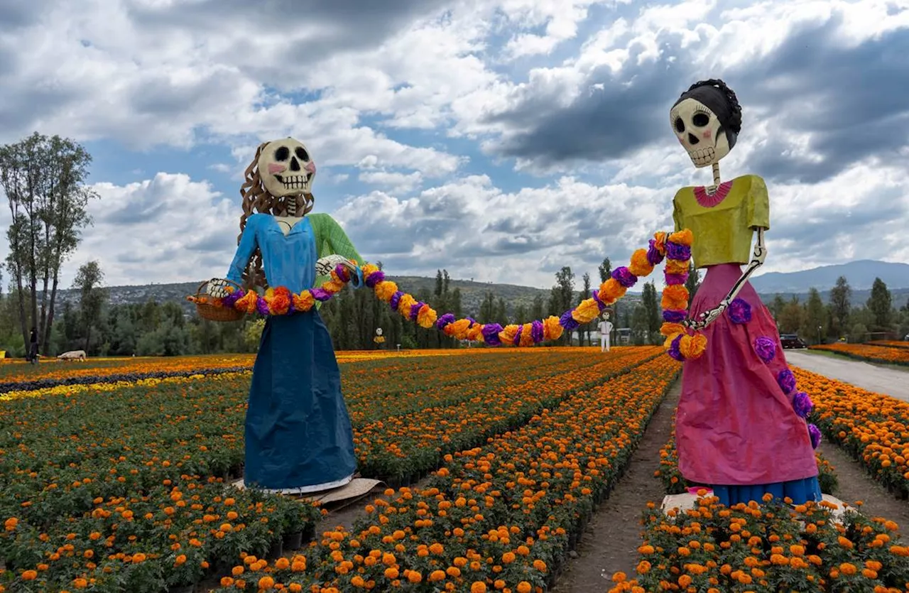 En Xochimilco, visita el Valle de Catrinas