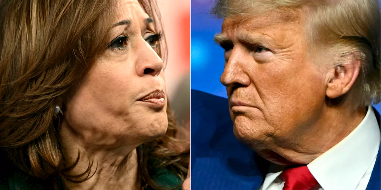 Elecciones en EU: Duelo de prioridades entre Kamala Harris y Donald Trump en Texas