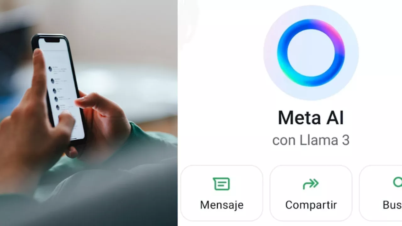 ¿Cómo eliminar toda la información de búsqueda en Meta de WhatsApp?