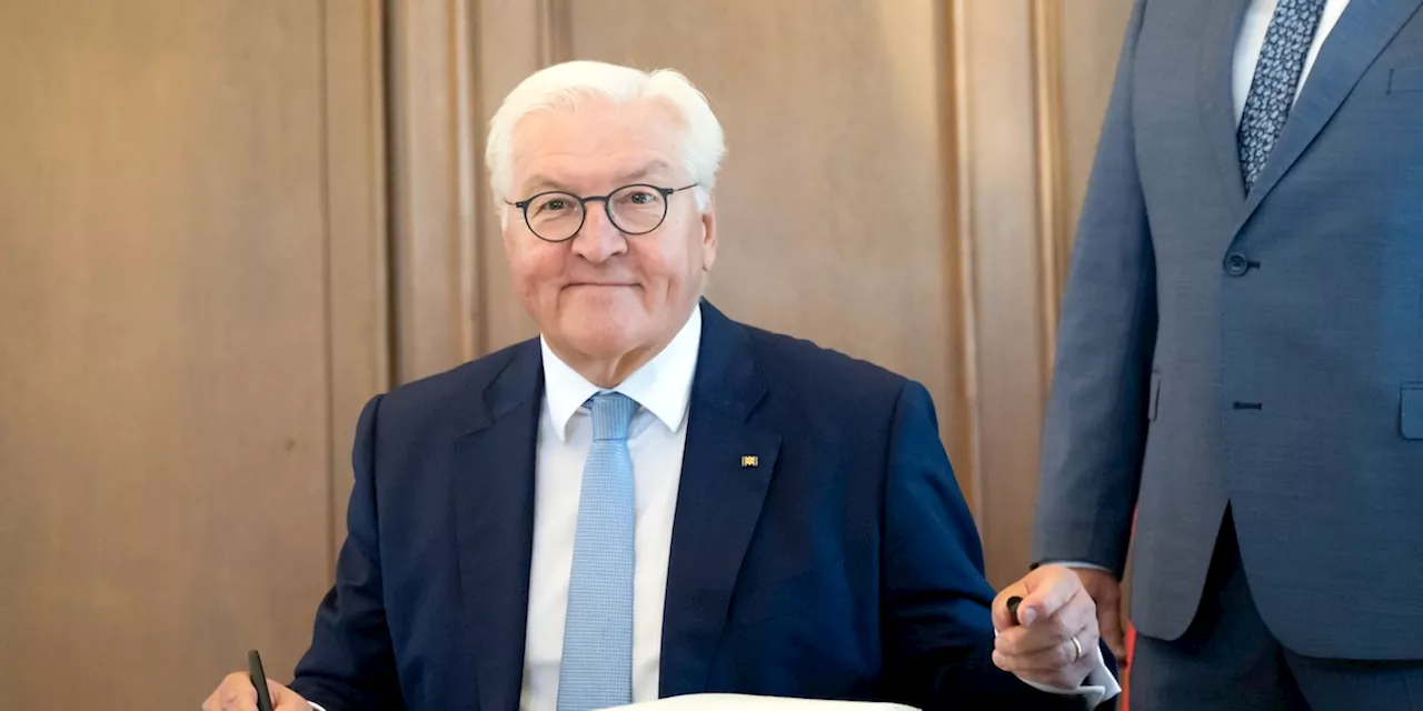 Union ruft wegen Ampel-Streit nach Steinmeier