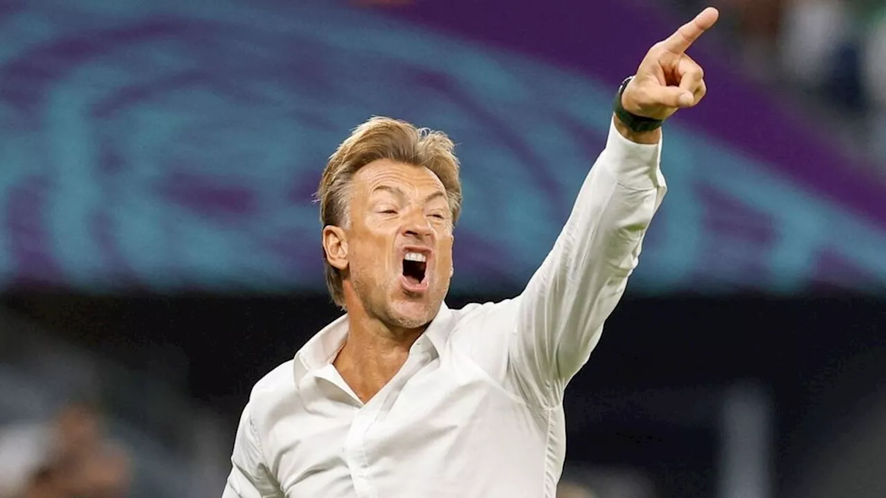 Hadapi Timnas Indonesia, Arab Saudi Berpotensi Dipimpin Herve Renard