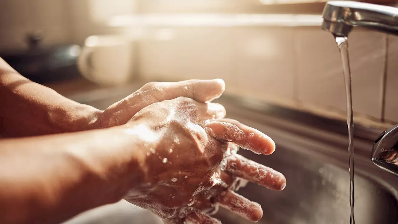 – warum Handhygiene dort so wichtig ist