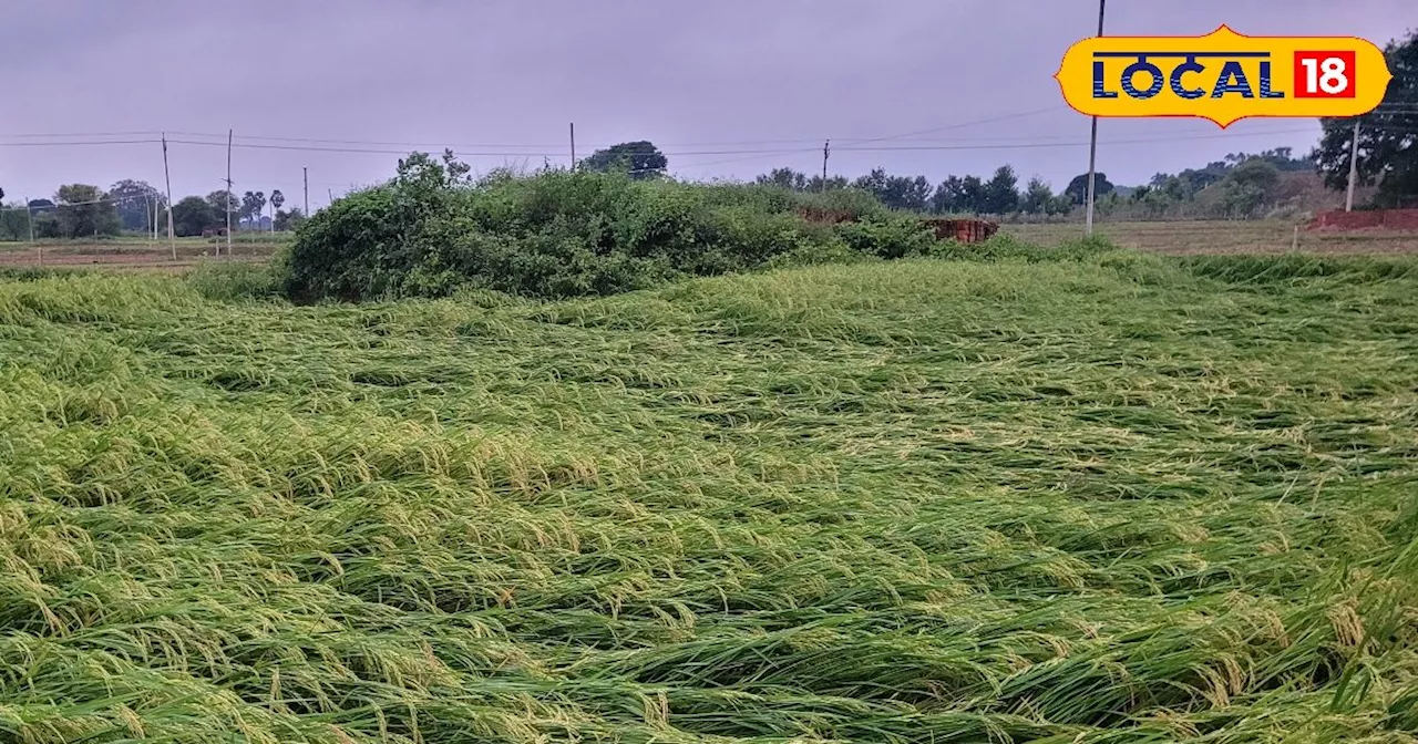 Cyclone Dana : दाना ने छीन ली खुशियां, नहीं बजेगी बेटी की शहनाई और न ही आएगी बारात, दे गया ऐसा दर्द कि...!