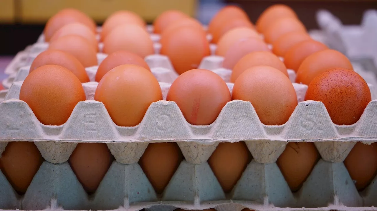 Alerta alimentaria por presencia de salmonela en lotes de huevos y yemas líquidas