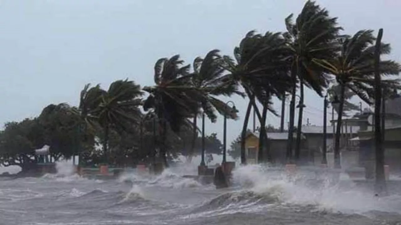 Bihar Weather Today: बिहार में कितना रहा चक्रवात 'दाना' का असर, कहां कितना नुकसान? पढ़िए पूरे राज्य की रिपोर्ट