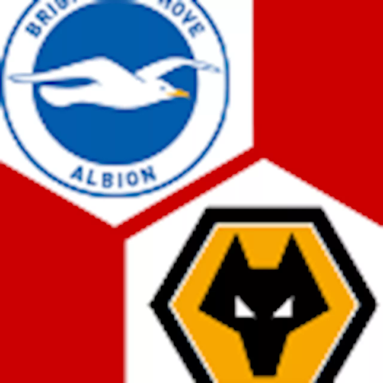  Brighton &amp; Hove Albion - Wolverhampton Wanderers : | 9. Spieltag