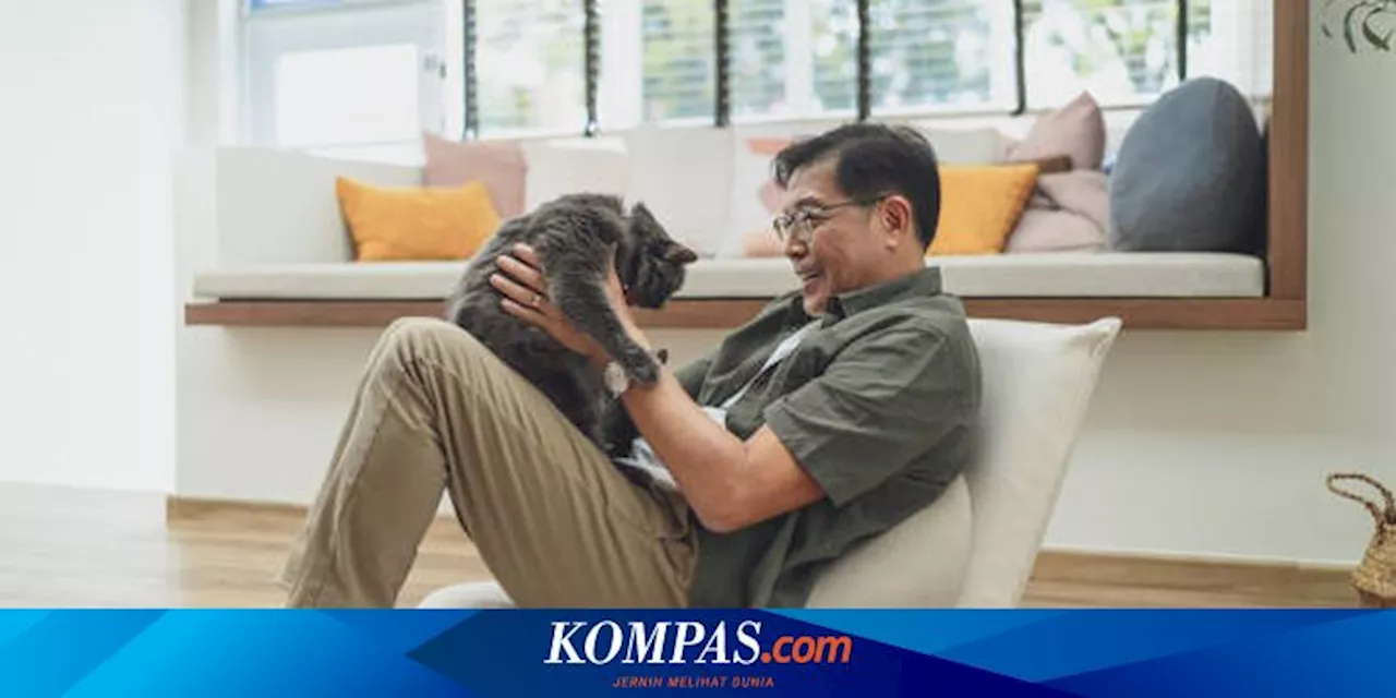 5 Cara Memperkuat Ikatan dengan Kucing Peliharaan