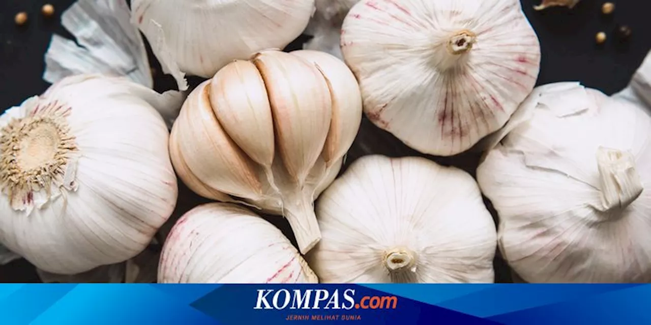 Jarang Diketahui, Ini 6 Manfaat Rutin Minum Air Rebusan Bawang Putih Setiap Hari