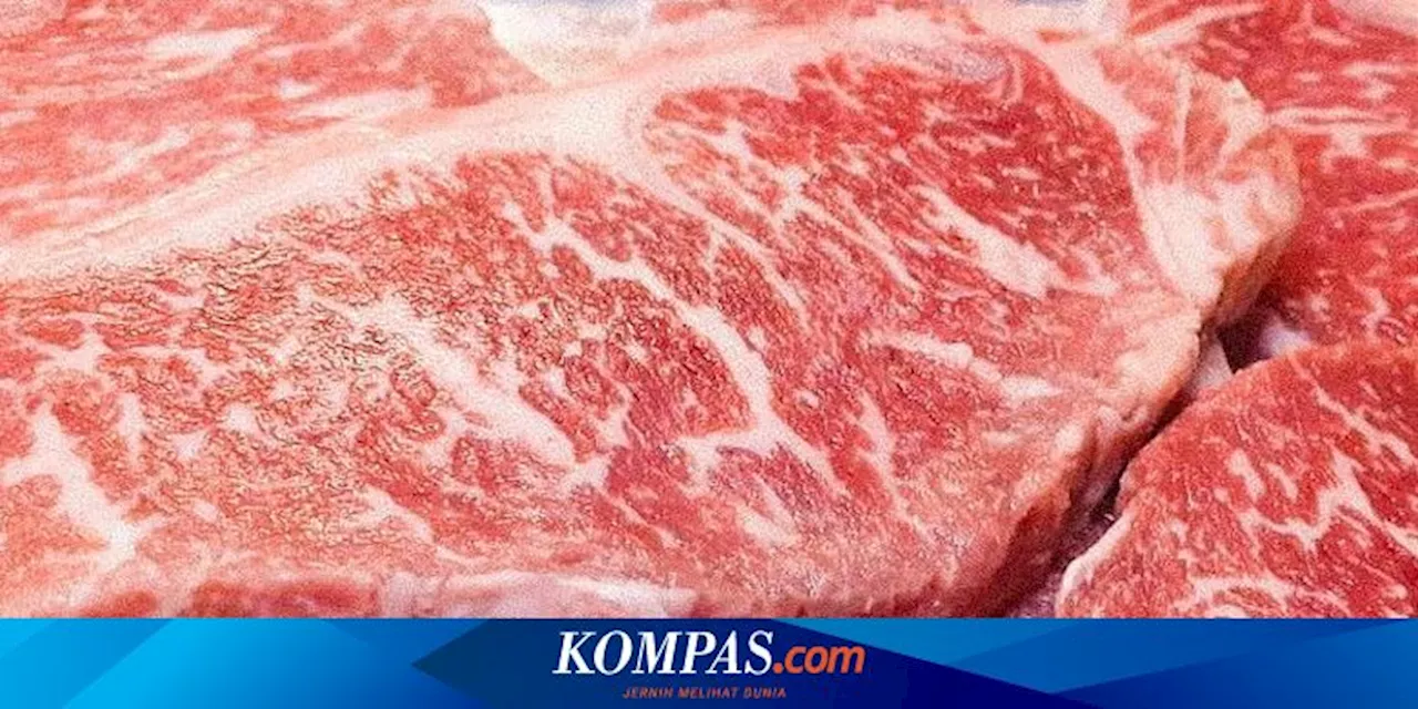 Tips Menyimpan Daging agar Lebih Tahan Lama