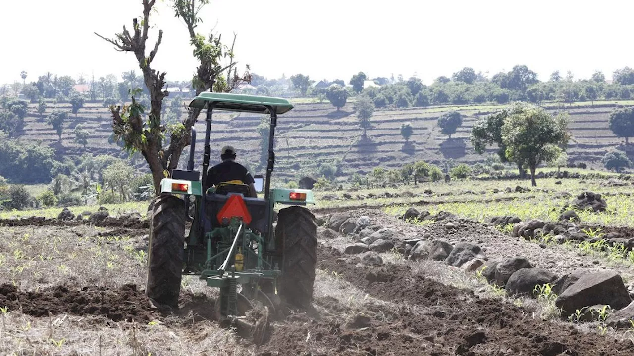 Generasi Muda Diharapkan Bawa Inovasi dan Teknologi ke Sektor Pertanian RI