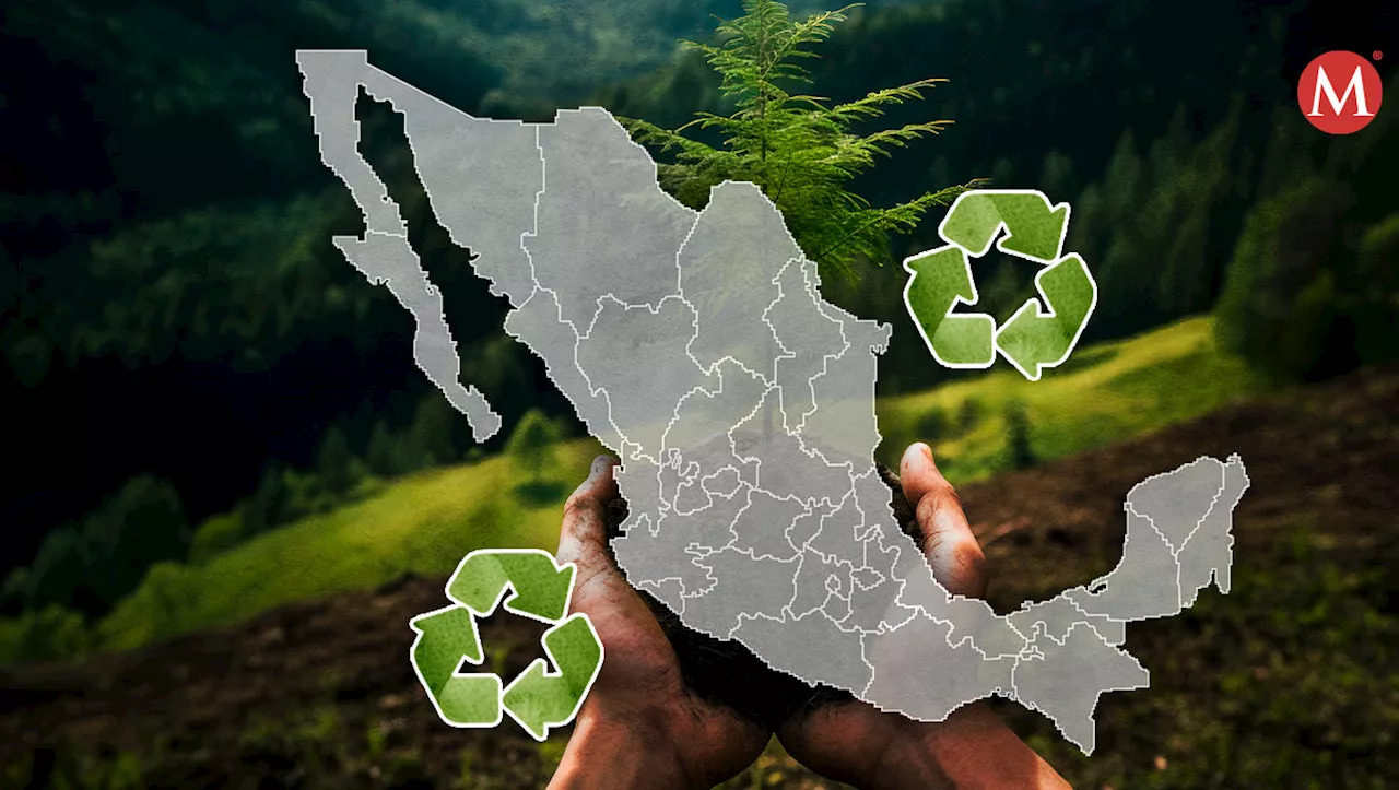 México puede lograr la meta de cero desperdicio de residuos reciclables: ECOCE