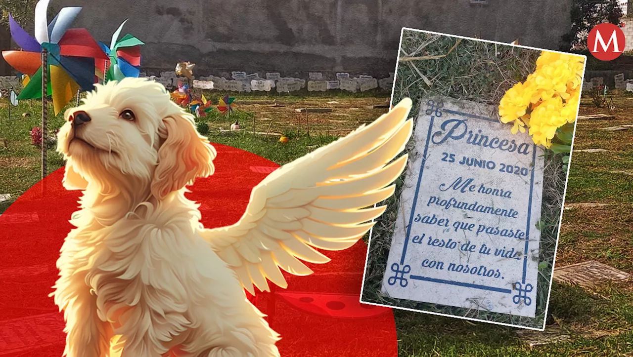 Ángeles de cuatro patas visitarán a sus dueños este Día de Muertos: así es el cementerio de mascotas en Puebla